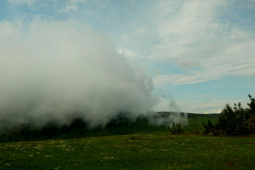 облака на земле в Тигирекском заповеднике_oopt22.ru.jpg