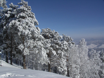 Зима в Алтайском крае